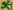 Sentier